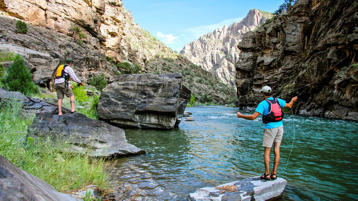 Cast Your Line in Montrose near Black Canyon of the Gunnison
