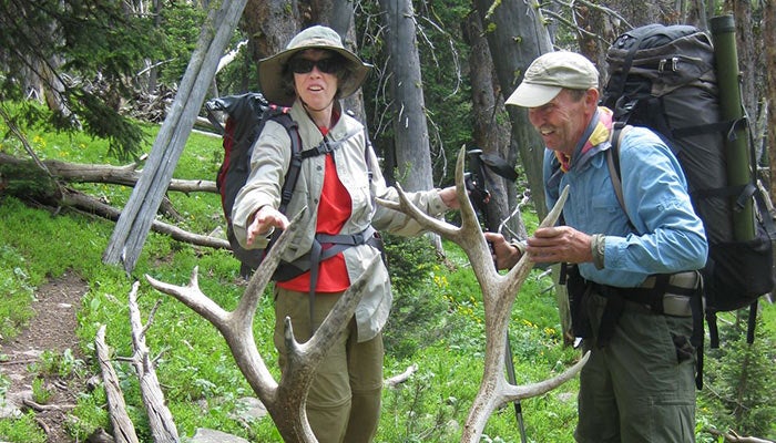 "Hikers discover antlers"