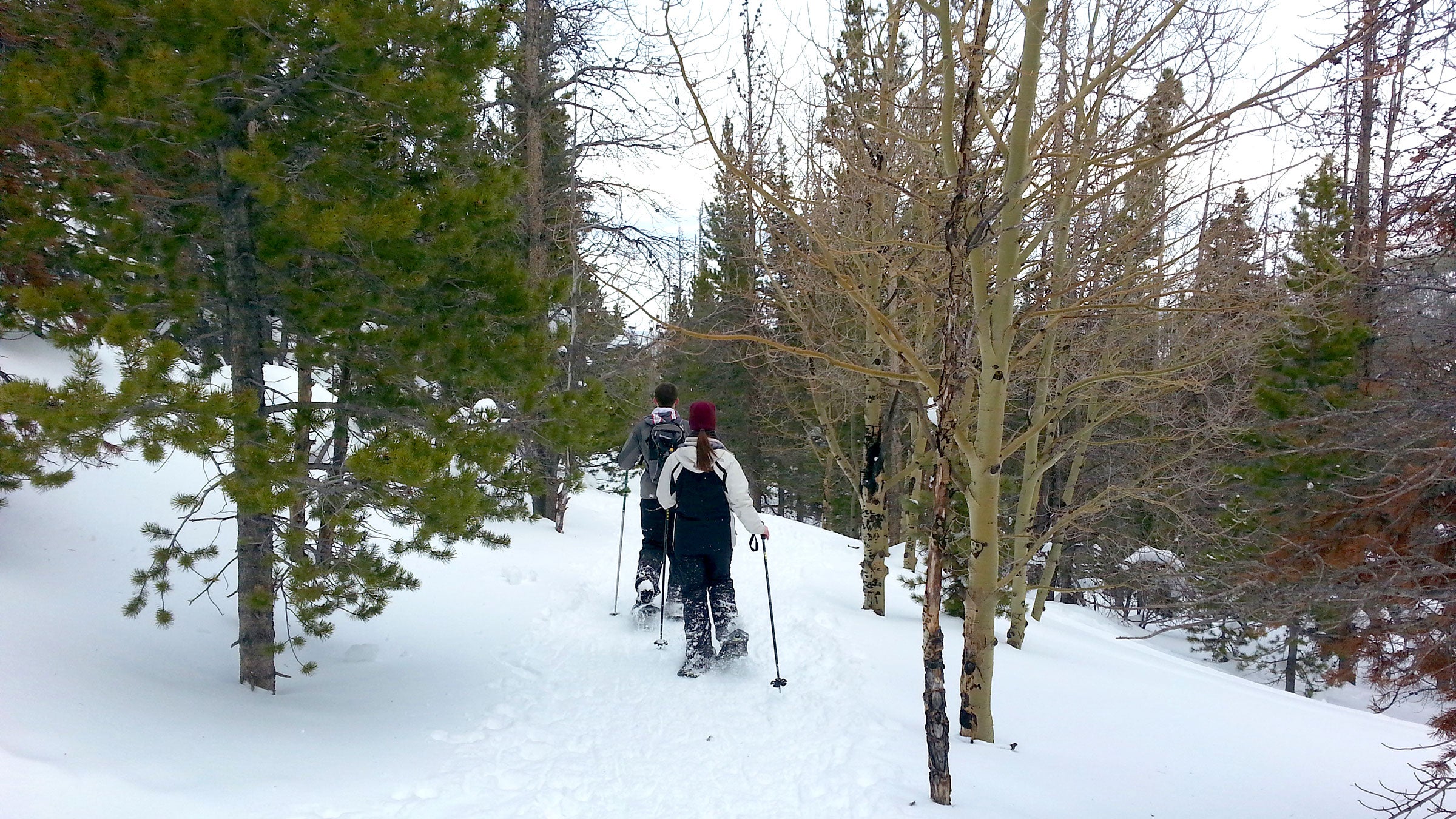 Snowshoers on a trail in Rocky Mountain National Park