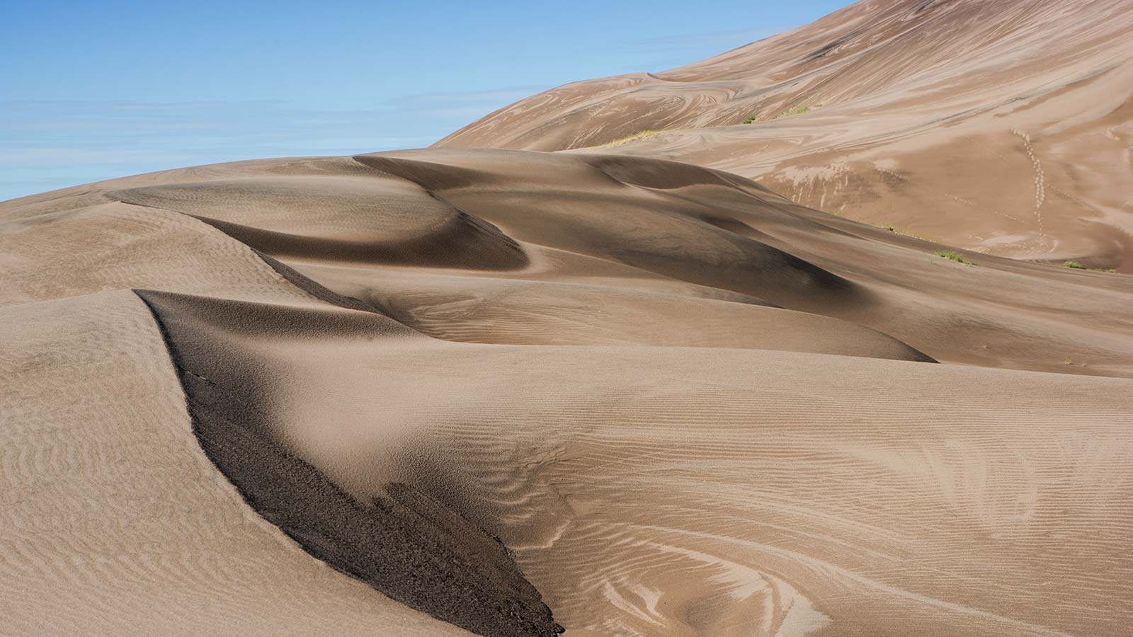 Ripples in the sand at Great Sand Dunes National Park & Preserve