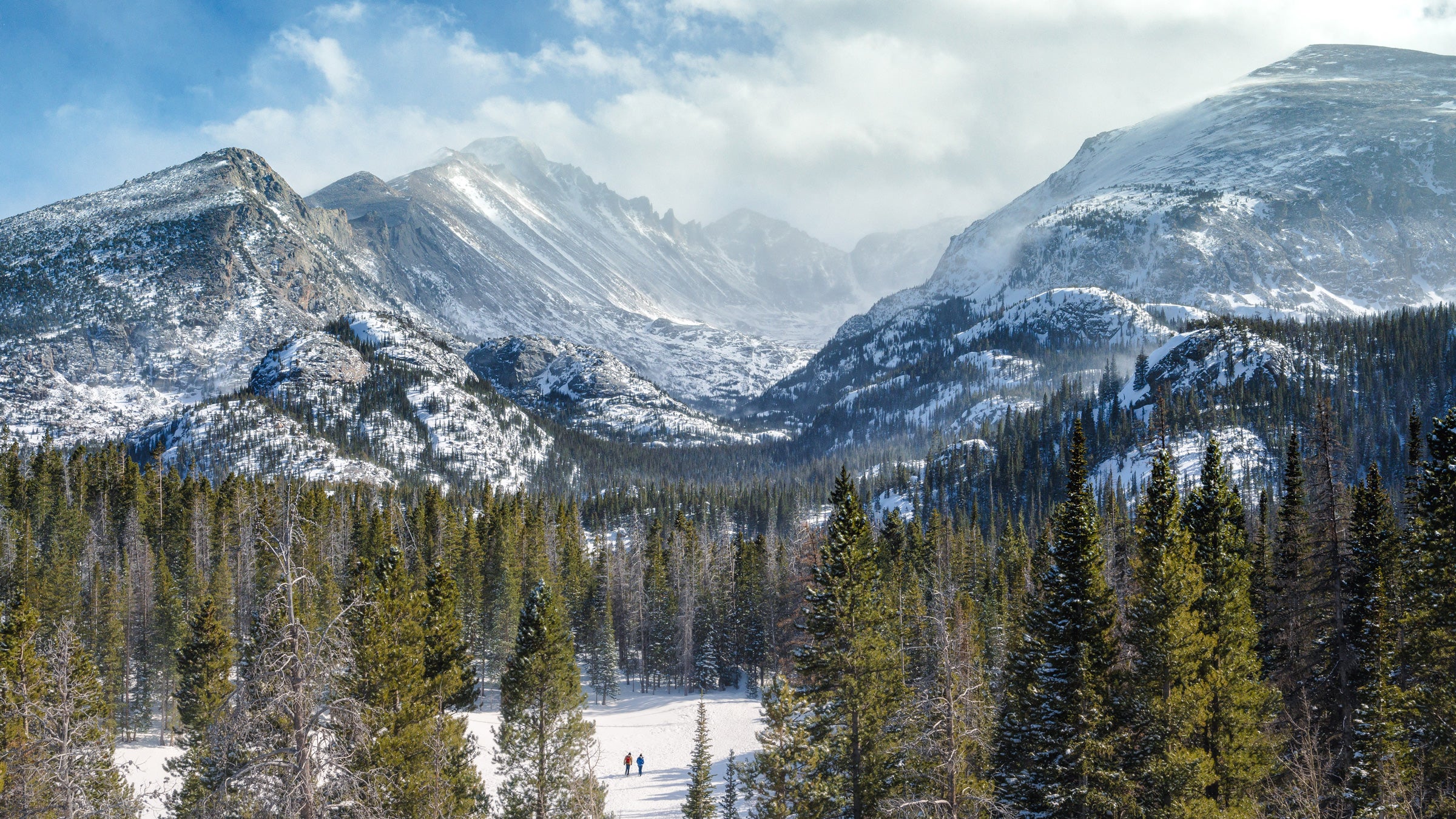 winter hikers passing through the trees in Rocky Mountain National Park