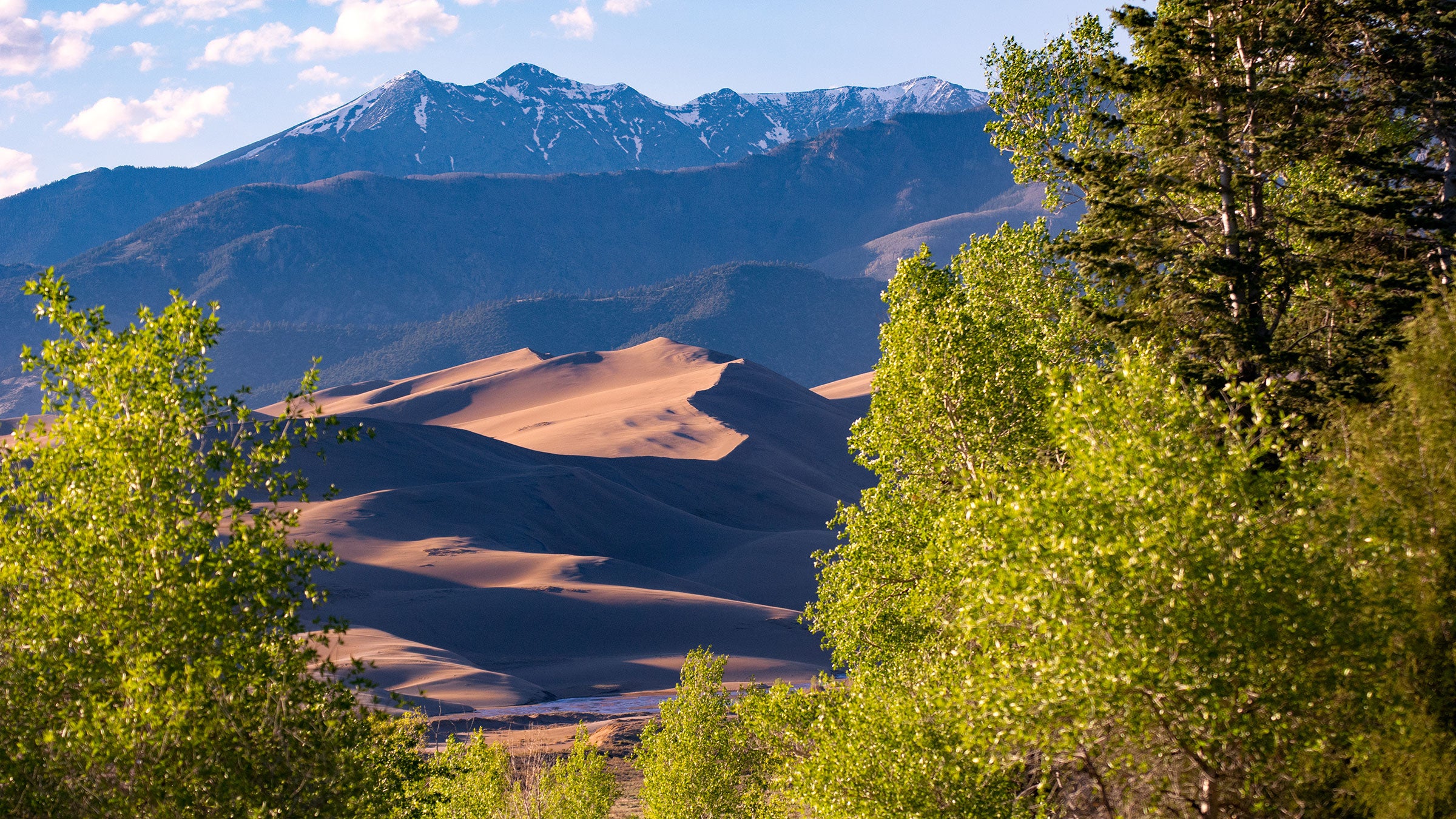 View of the Dunes from Montville Trail on the way to Mosca Pass