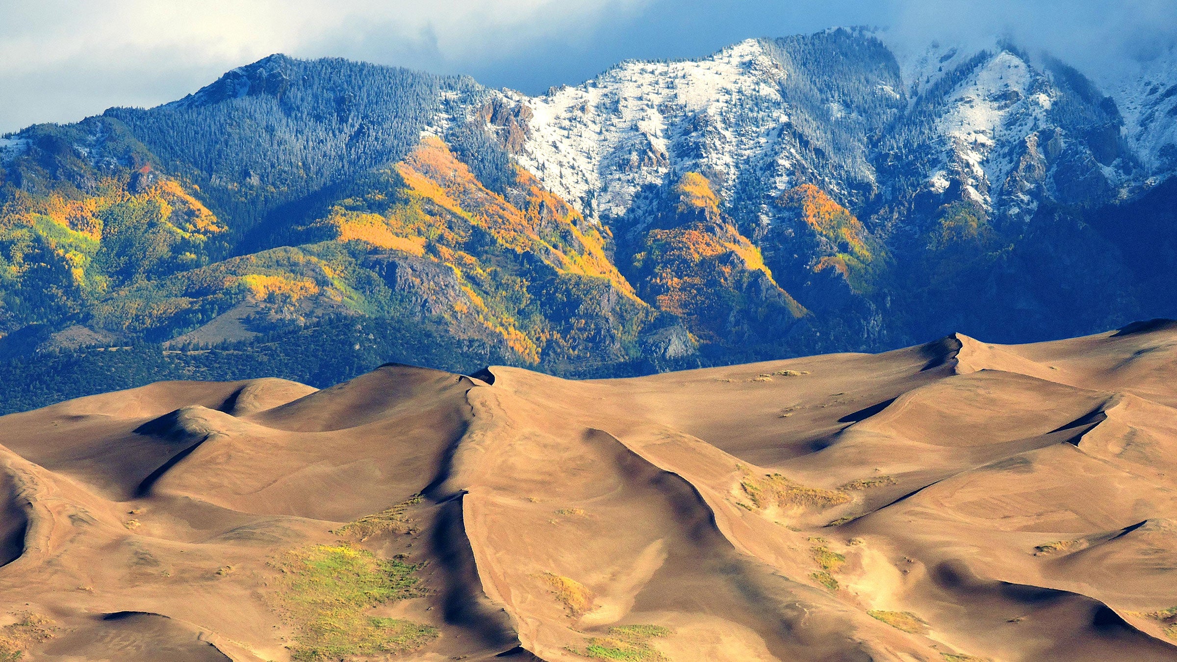 Golden aspen over sand dune peaks taken October 3, 2017.