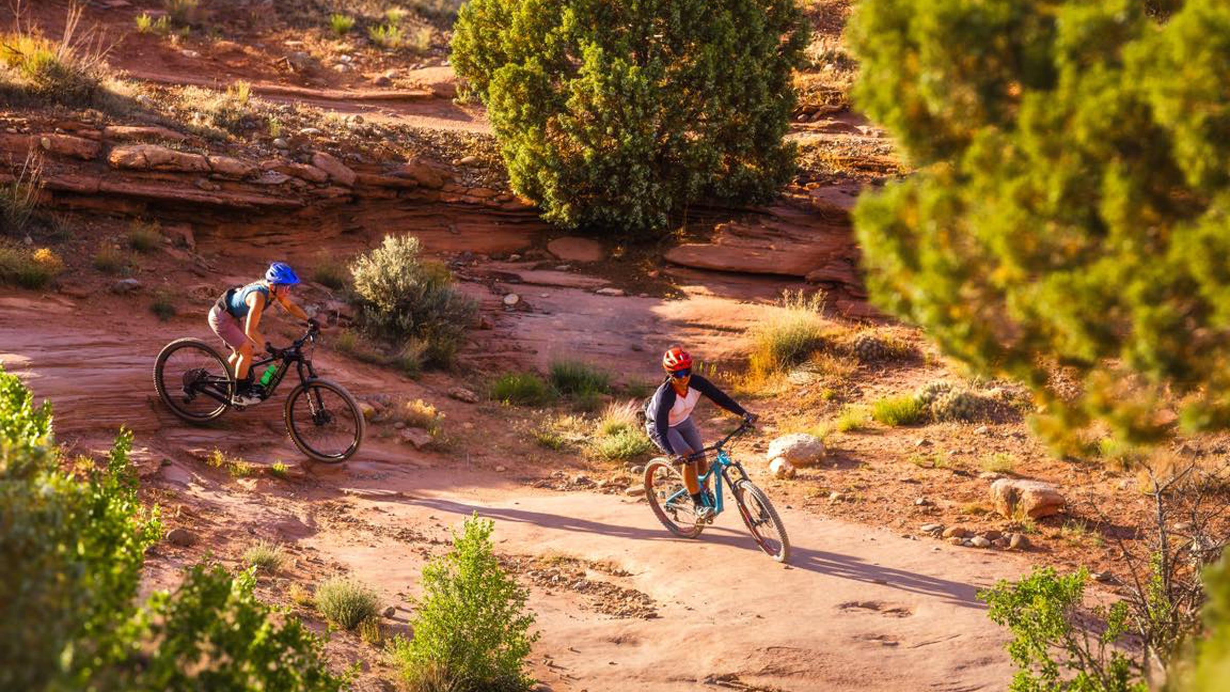 Mountain biking on the Kokopelli Trials near Fruita, Colorado